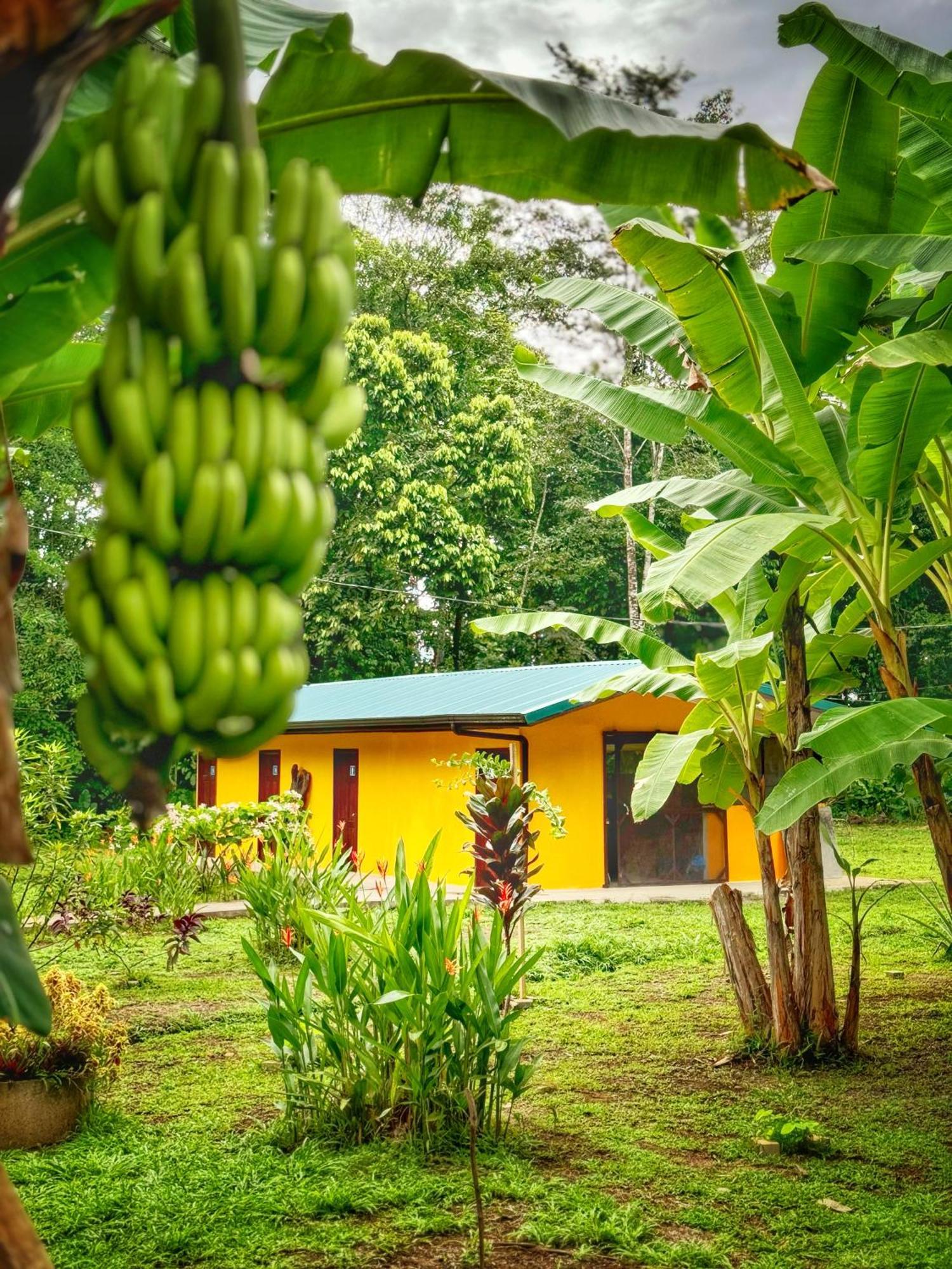 Gran Gavilán del Sarapiquí Lodge Exterior foto